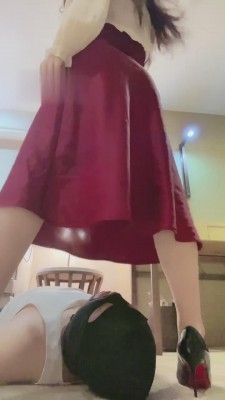 【维因】让老师成为我的爱人 高傲-套路玩物社