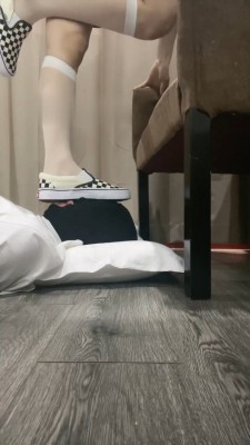 【晨希S】初学玩耍的幼犬轻触小声音 花边-套路玩物社